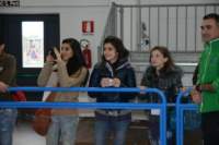 dsc_0116_small.jpg