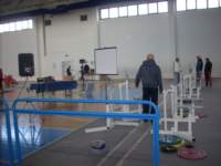 dscn0769_small.jpg